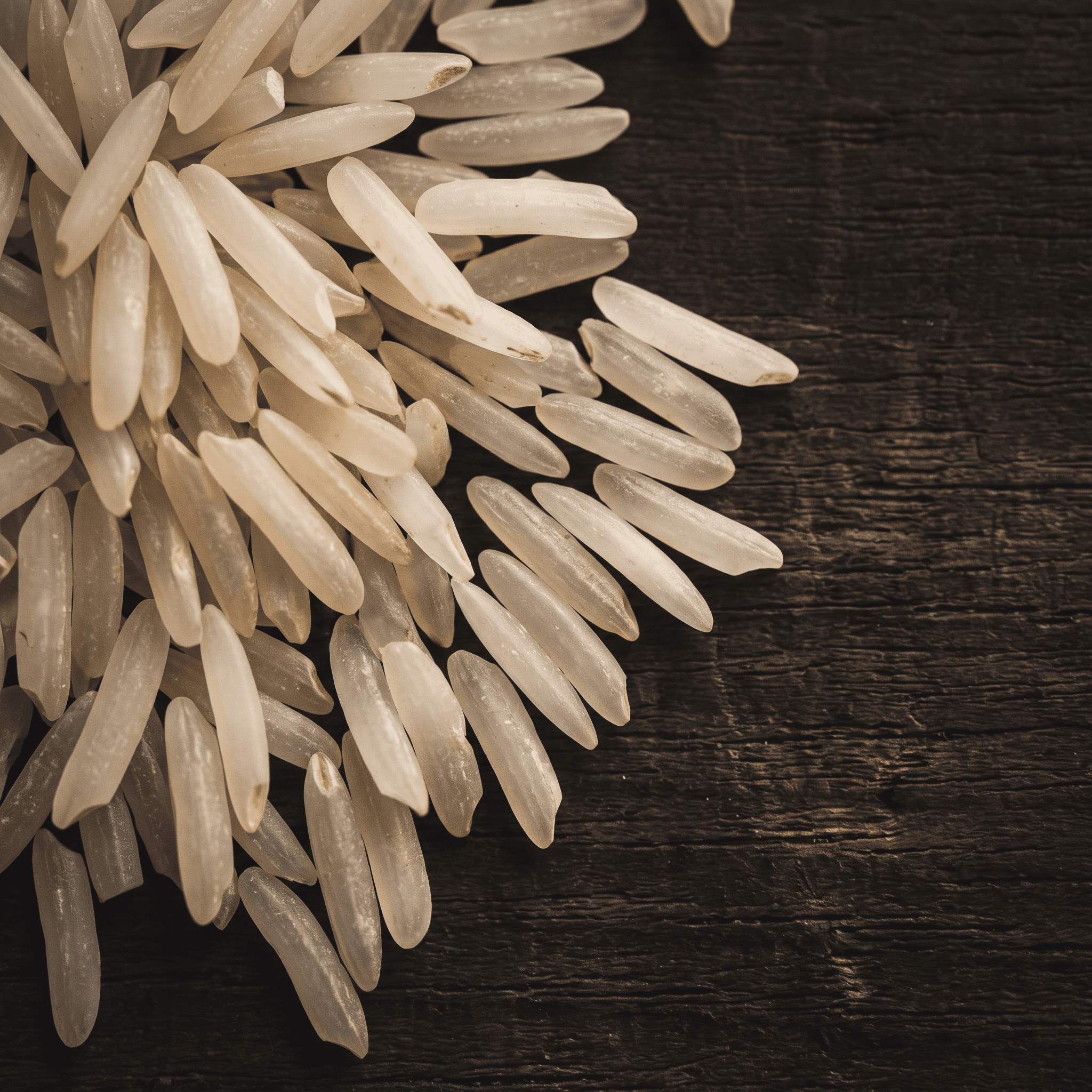 IRRI-6 long grain white rice